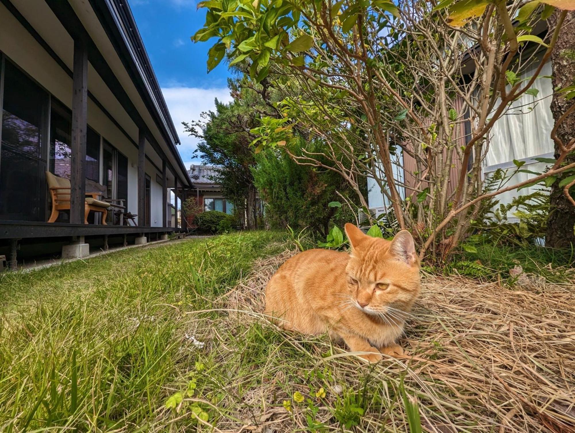 Guest House Ki-Zu - Vacation Stay 94978V Nishio Экстерьер фото